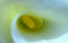 fotografie/closeup/Italy_Life_is_a_spiral_t.jpg