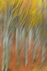 fotografie/creative/Italy_Fall_colors_t.jpg