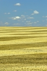 fotografie/landscapes/Canada_Agriculture_t.jpg