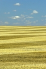 fotografie/landscapes/Canada_Agriculture_t.jpg