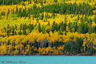fotografie/landscapes/Canada_autumn_palette_t.jpg