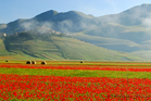 fotografie/landscapes/Italy_Castelluccio_di_Norcia_t.jpg