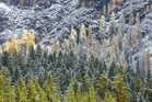 fotografie/landscapes/Italy_Different_seasons_t.jpg