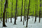 fotografie/landscapes/Italy_Winter_and_Spring_t.jpg