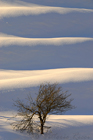 fotografie/landscapes/Italy_Winter_solitude_t.jpg