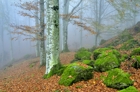 fotografie/landscapes/Italy_autumn_time_t.jpg