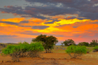 fotografie/landscapes/Namibia_Common_sunset_t.jpg