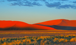 fotografie/landscapes/Namibia_Into_the_desert_t.jpg