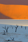 fotografie/landscapes/Namibia_Light_is_coming_t.jpg