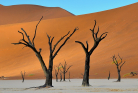 fotografie/landscapes/Namibia_Oblivion_t.jpg