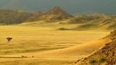 fotografie/landscapes/Namibia_Open_spaces_2_t.jpg