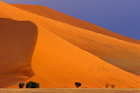 fotografie/landscapes/Namibia_Orange_dunes_t.jpg