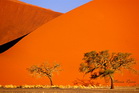 fotografie/landscapes/Namibia_Sesriem_t.jpg