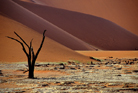 fotografie/landscapes/Namibia_Vlei_scenery_t.jpg