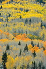 fotografie/landscapes/USA_Fall_Colors_t.jpg