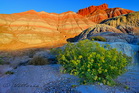 fotografie/landscapes/USA_Vermillion_Cliffs_t.jpg