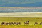 fotografie/mammals/Tanzania_magnificent_wilderness_t.jpg