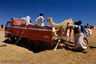 fotografie/people/Egypt_Camel_market_t.jpg